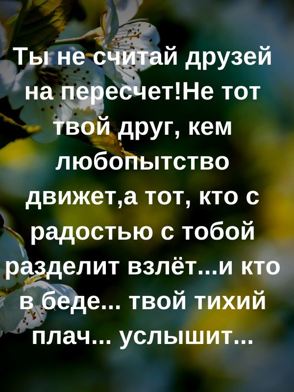 т33 Тьгнее Ёй друзей нап е еПНетот айдруг кем поббйьпство движет а тот кто с радостью с тобой ра литвзлёт иктб 9113 твойт й плач услышё