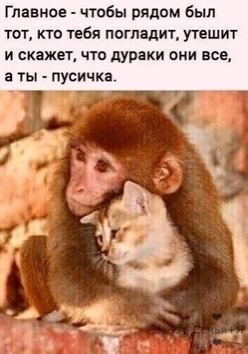 Главное чтобы рядом был тот кто тебя погладит утешит и скажет что дУраки они все а ты пусичка