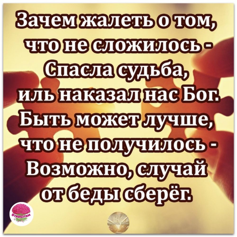 жалеть шш 133 сложилось