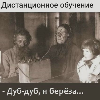 ДИСТаНЦИОННОЭ обучение М Дуб дуб я берёза