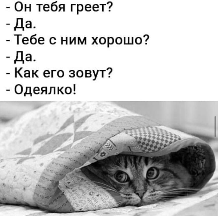 Он тебя греет Да Тебе с ним хорошо Да Как его зовут Одеялко