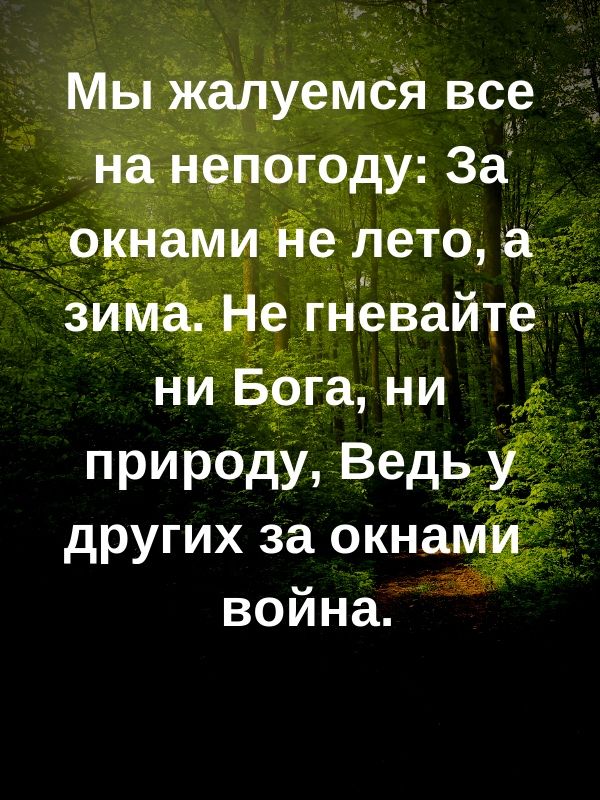 Мы ЗКЁілуемЁй вс9 других за окна война