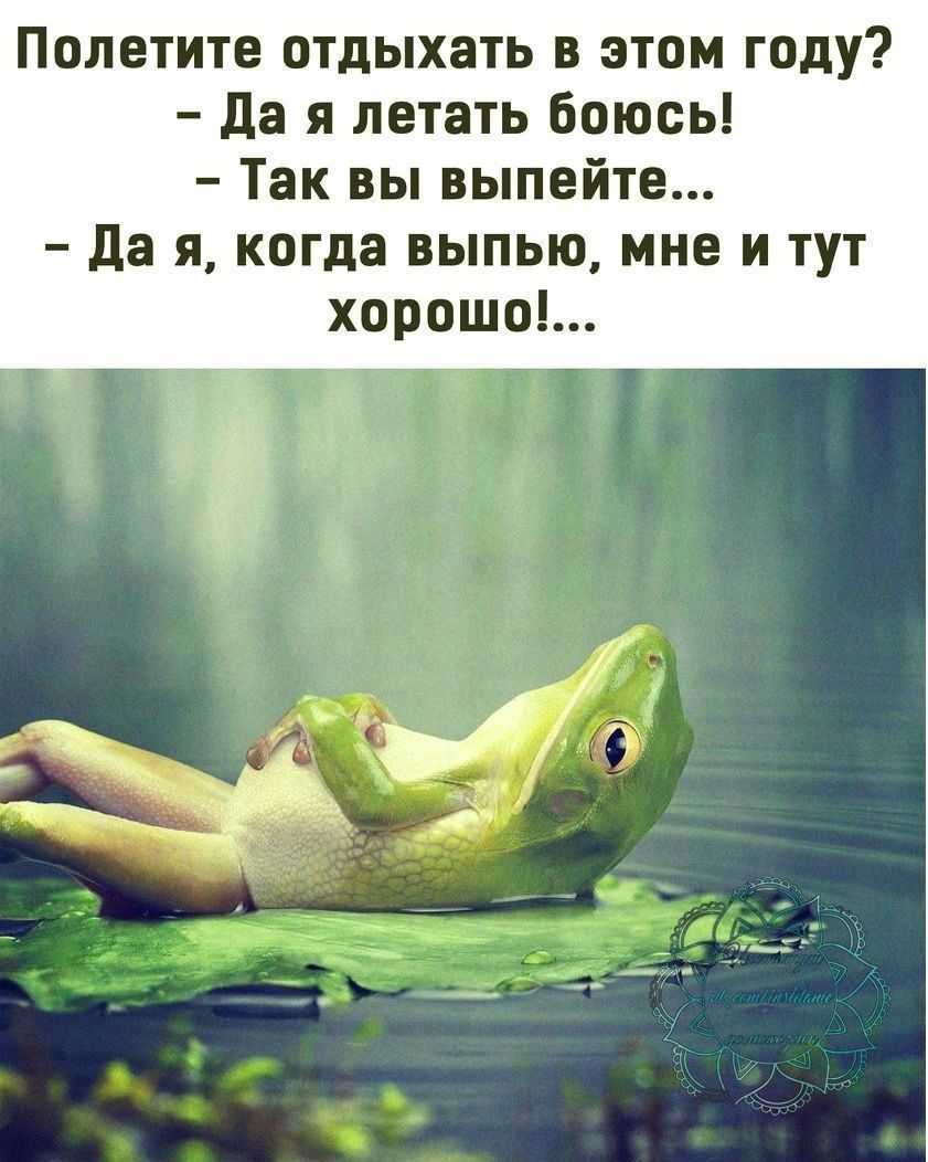 Полетите отдыхать в этом году да я летать боюсь Так вы выпейте да я когда выпью мне и тут хорошо