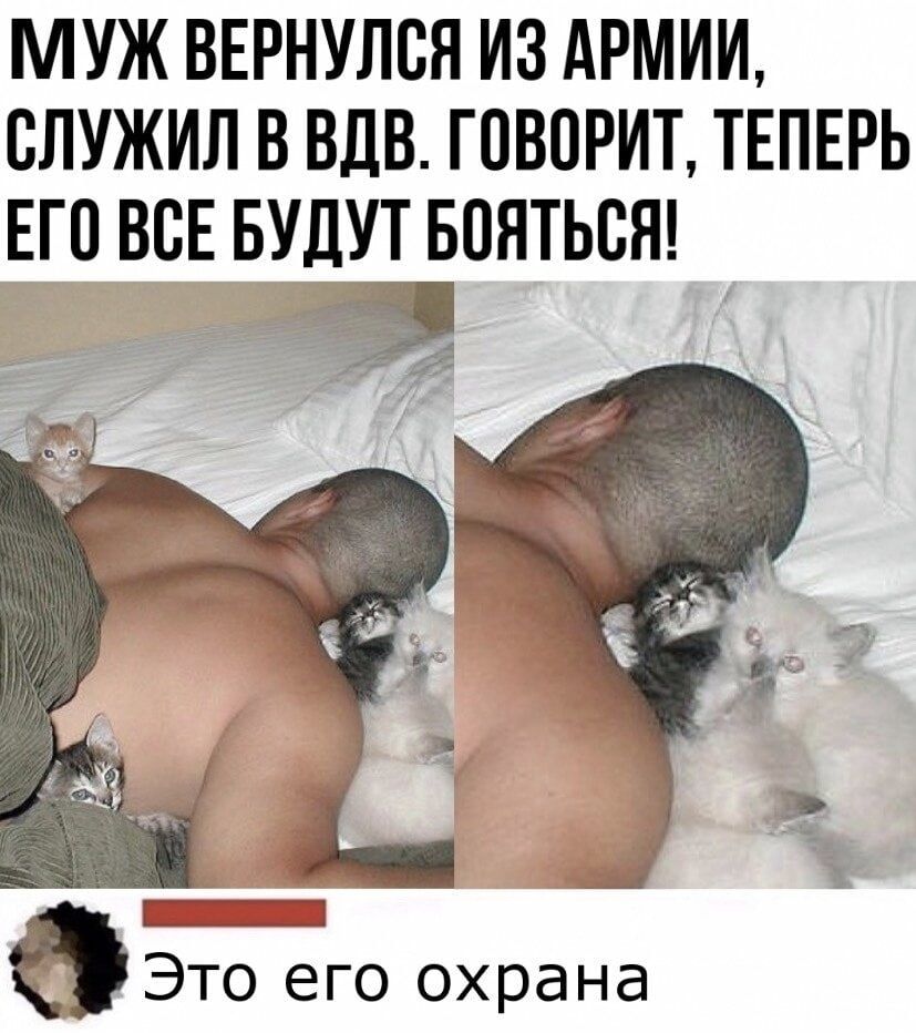 МУЖ ВЕРНУЛСЯ ИЗ АРМИИ ВЛУЖИЛ В ВДВ ГОВОРИТ ТЕПЕРЬ ЕГО ВСЕ БУДУТ БПЯТЬВЯ