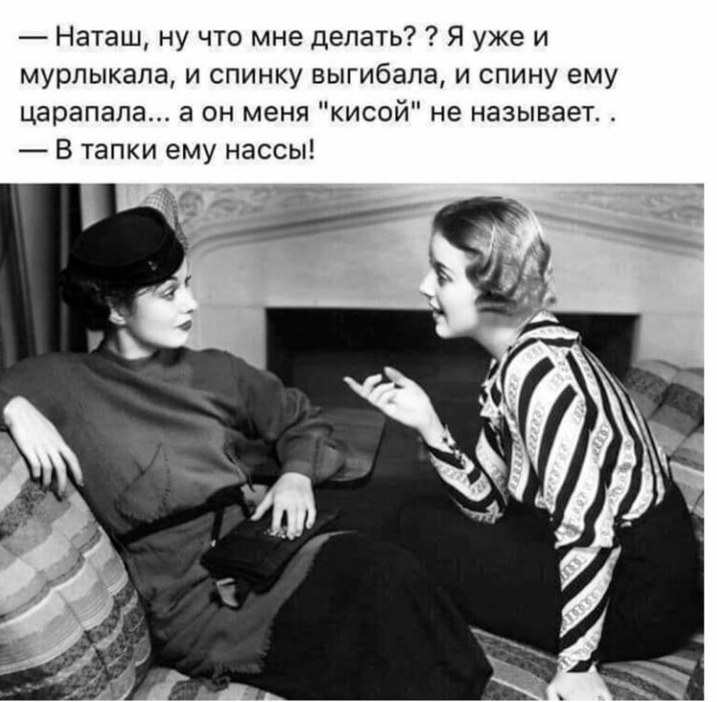 Наташ ну что мне делать Я уже и мурлыкала и спинку выгибала и спину ему царапала а он меня кисой не называет В тапки ему нассы