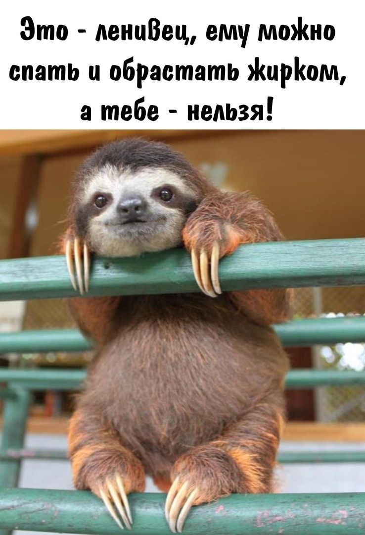 Это деннВец ему моно спать и обраотать цром тебе нельзя