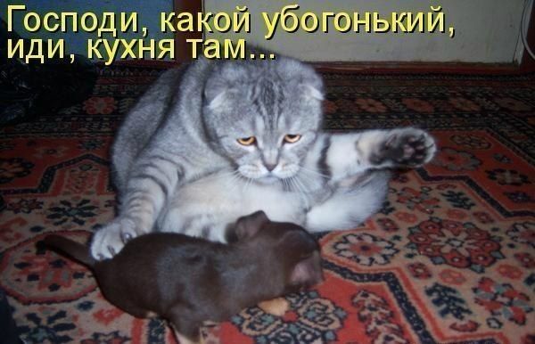 Ёёйаа ъ9г ИДИ КУХНЯ Т