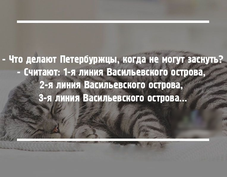 Что делают Петербуржцы когда не могут заснуть Считают 1 я линия Васильевского острова 2 я линия Васильевского острова 3 я линия Васильевского острова