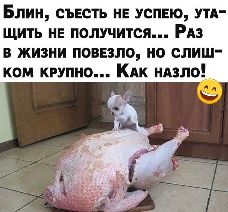 Блин съвсть не успею УТА щить НЕ получится Из в жизни повнзло но слиш ком крупно КАк НАзло