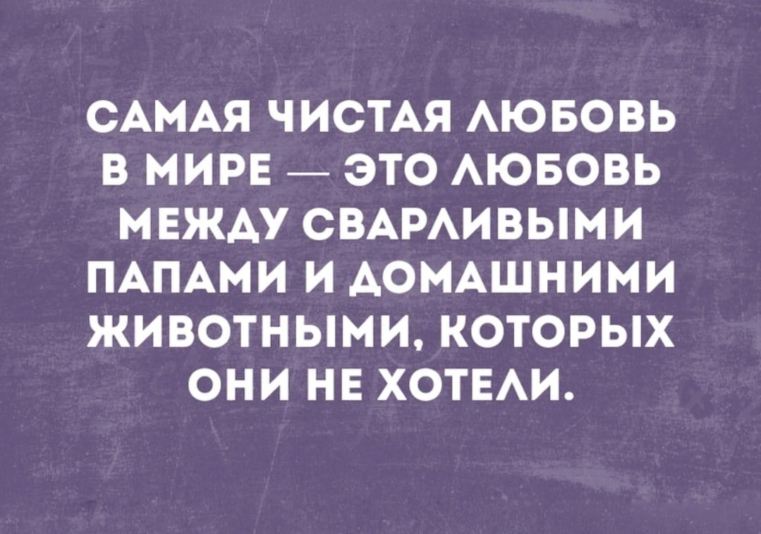 САМАЯ ЧИСТАЯ АЮБОВЬ В МИРЕ _ ЭТО АЮБОВЬ МЕЖДУ СВАРАИВЫМИ ПАПАМИ И АОМАШНИМИ ЖИВОТНЫМИ КОТОРЫХ ОНИ НЕ ХОТЕАИ