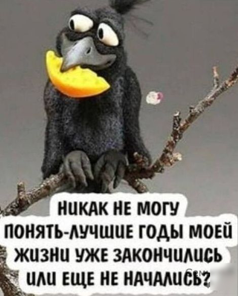 нцклкивмоги понять Ашшцв годы моей жизни уже здкоичшшсь шш еще не ндчмцсьч