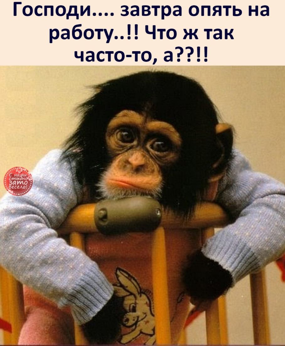 Господи завтра опять на работу Что ж так часто то а