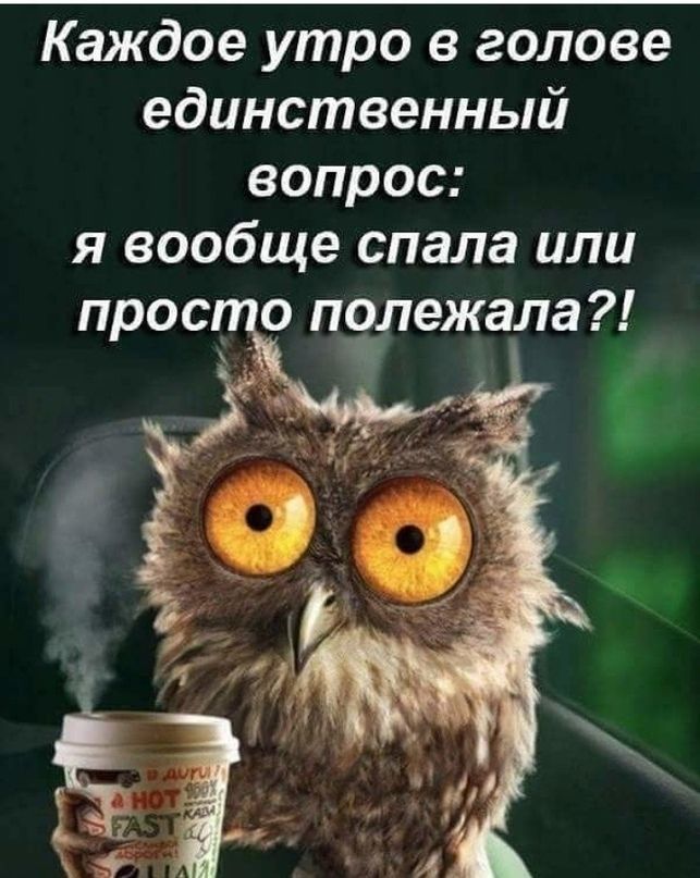 Каждое утро в голове единственный вопрос я вообще спала или прос о полежала