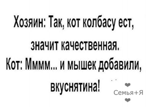 Хозяин Так кот колбасу ест значит качественная Кот Мммм и мышек добавили вкуснятина СемьяЯ о