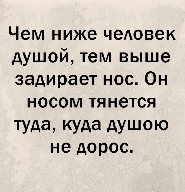 Чем ниже чеАовек душой тем выше задирает нос Он носом тянется туда куда душою не дорос