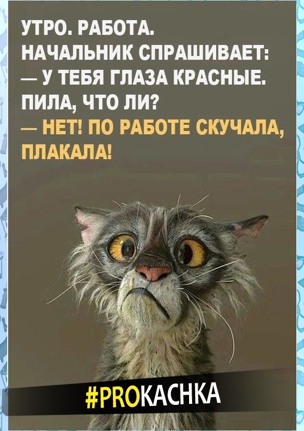 УТРО РАБОТА НАЧАЛЬНИК СПРАШИВАЕТ У ТЕБЯ ГЛАЗА КРАСНЫЕ ПИПА ЧТО ПИ НЕТ ПО РАБОТЕ СКУЧАЛА ППАКАПА РЁЬКАСНКА _ МЖХ