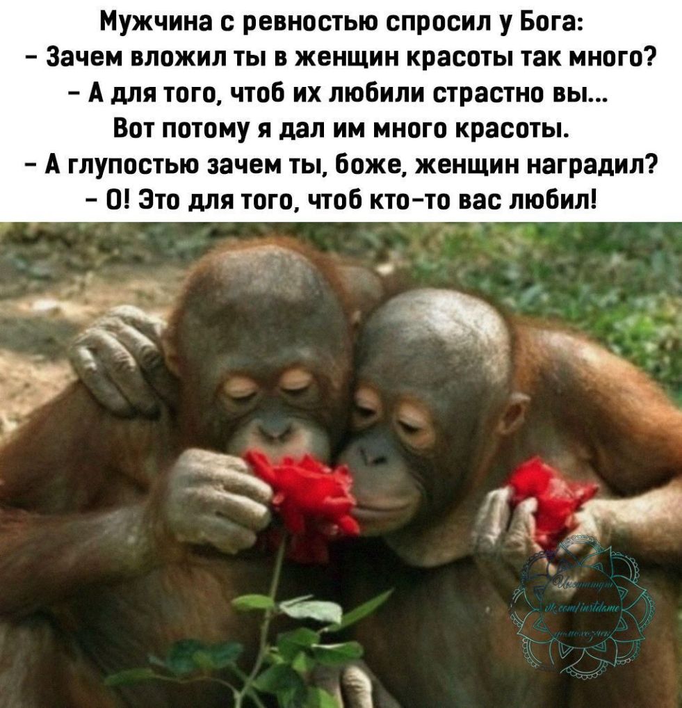 Мужчина с ревностью спросил у Бога Зачем вложил ты в женщин красоты так много А для того чтоб их любили страстно вы Вот потому я дал им много красоты А глупостью зачем ты боже женщин наградил 0 Это для того чтоб кто то вас любил