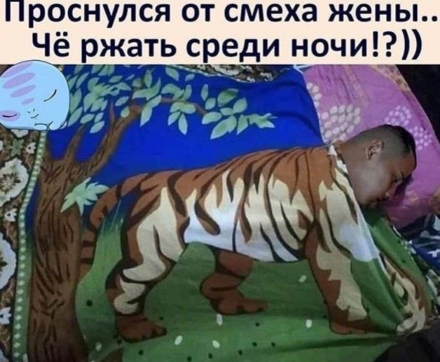 роснулся от смеха жены Чё ржать _с_реди ночи