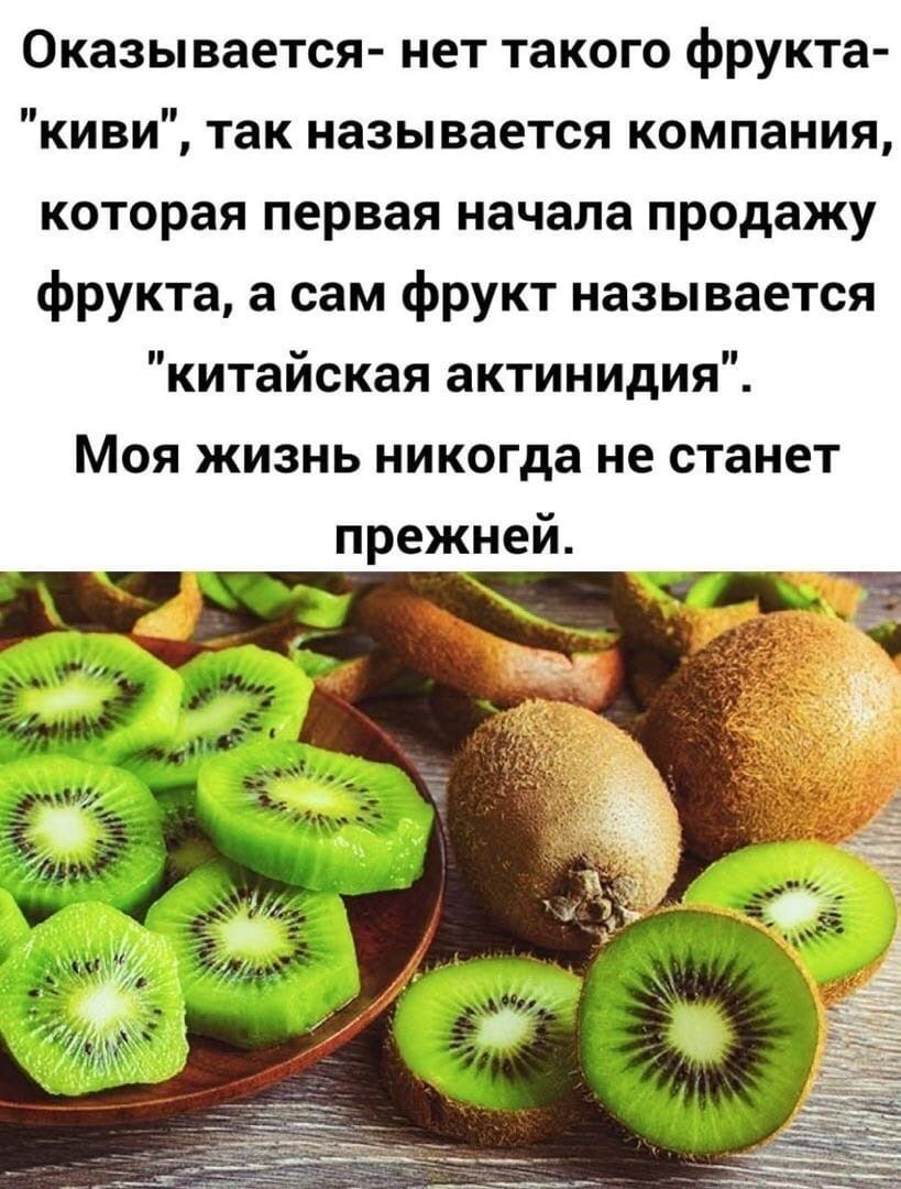 Оказывается нет такого фрукта киви так называется компания которая первая начала продажу фрукта а сам фрукт называется китайская актинидия Моя жизнь никогда не станет прежней