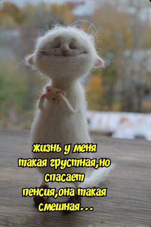 жизнь у такая грустнаяіно ъ спасает пенсиядНа такая смешная