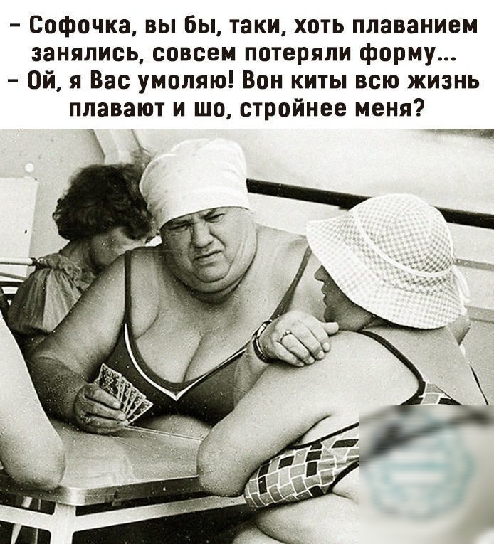 Софочка вы бы таки хоть плаванием занялись совсем потеряли форму Ой я Вас умоляю Вон киты всю жизнь плавают и шо стройнее меня