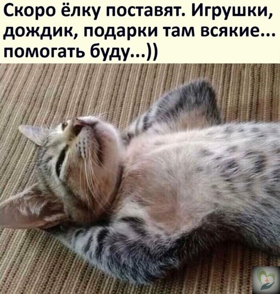 Скоро ёлку поставят Игрушки дождик подарки там всякие помогать буду