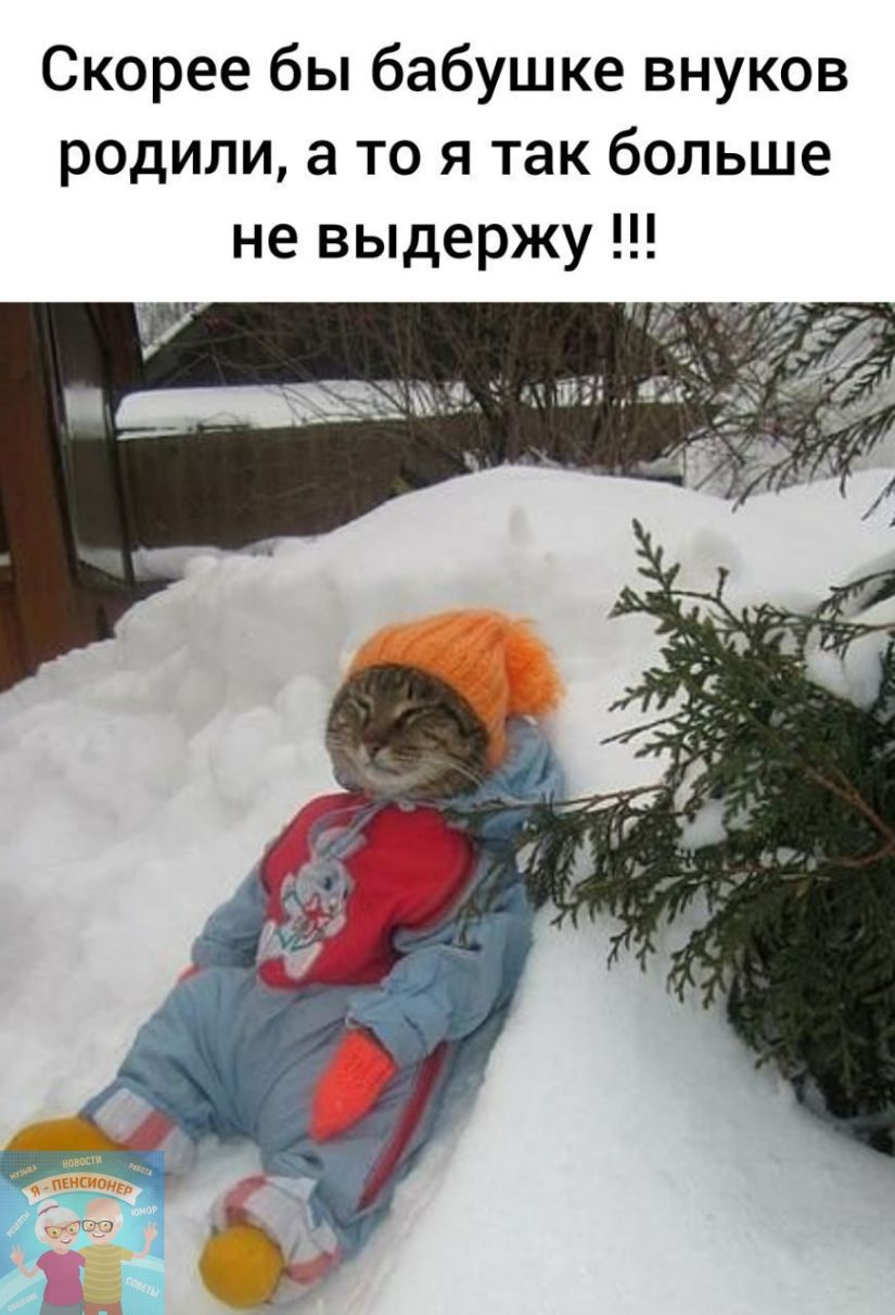 Скорее бы бабушке внуков родили а то я так больше не выдержу