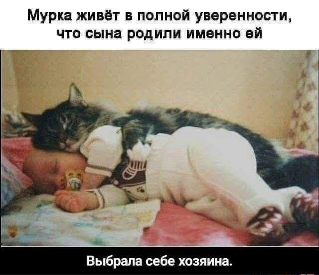 Мурка живёт в полной уверенности что сына родили именно ей Выбрала себе хозяина