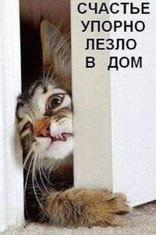 СЧАСТЬЕ УПОРНО ЛЕЗЛО В ДОМ