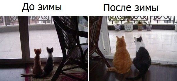 До зимы После зимы
