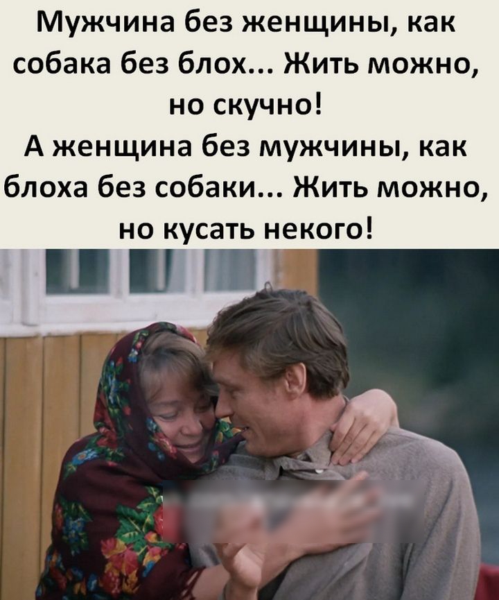 Мужчина без женщины как собака без блох Жить можно но скучно А женщина без мужчины как блоха без собаки Жить можно но кусать некого