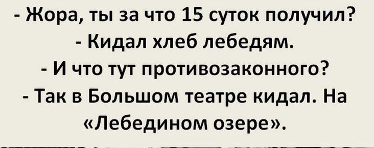 Жора ты за что 15 суток получил Кидал хлеб лебедям И что тут противозаконного Так в Большом театре кидал На Лебедином озере