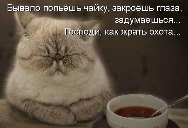 задумаешься КЭК ЖРЭТЬ охота