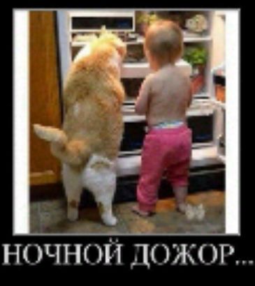 ночноіді м п