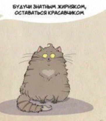 БУДУ Т