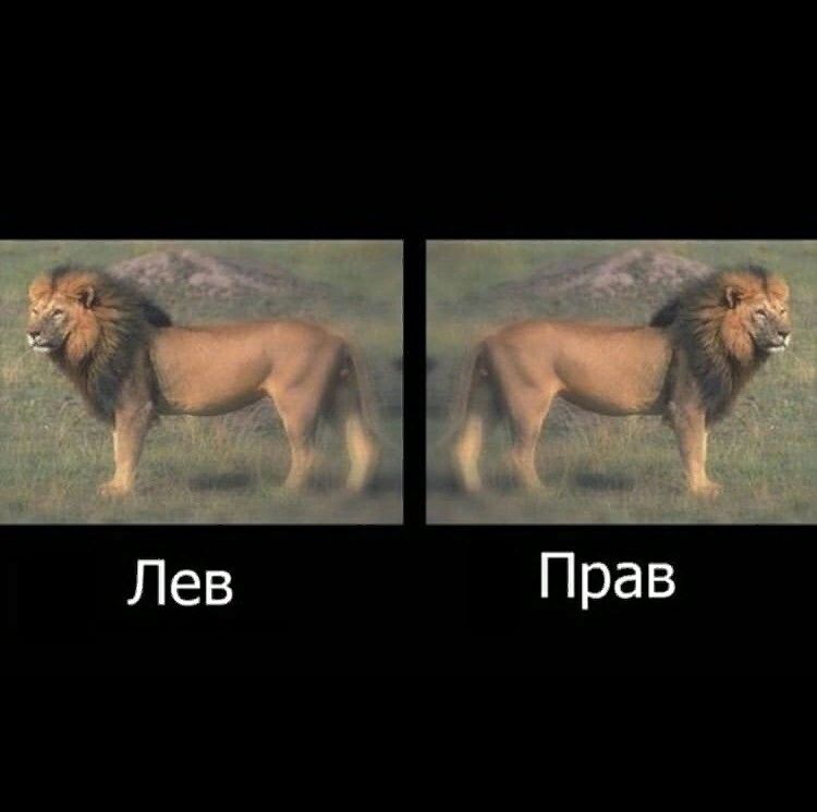 Прав ев Л