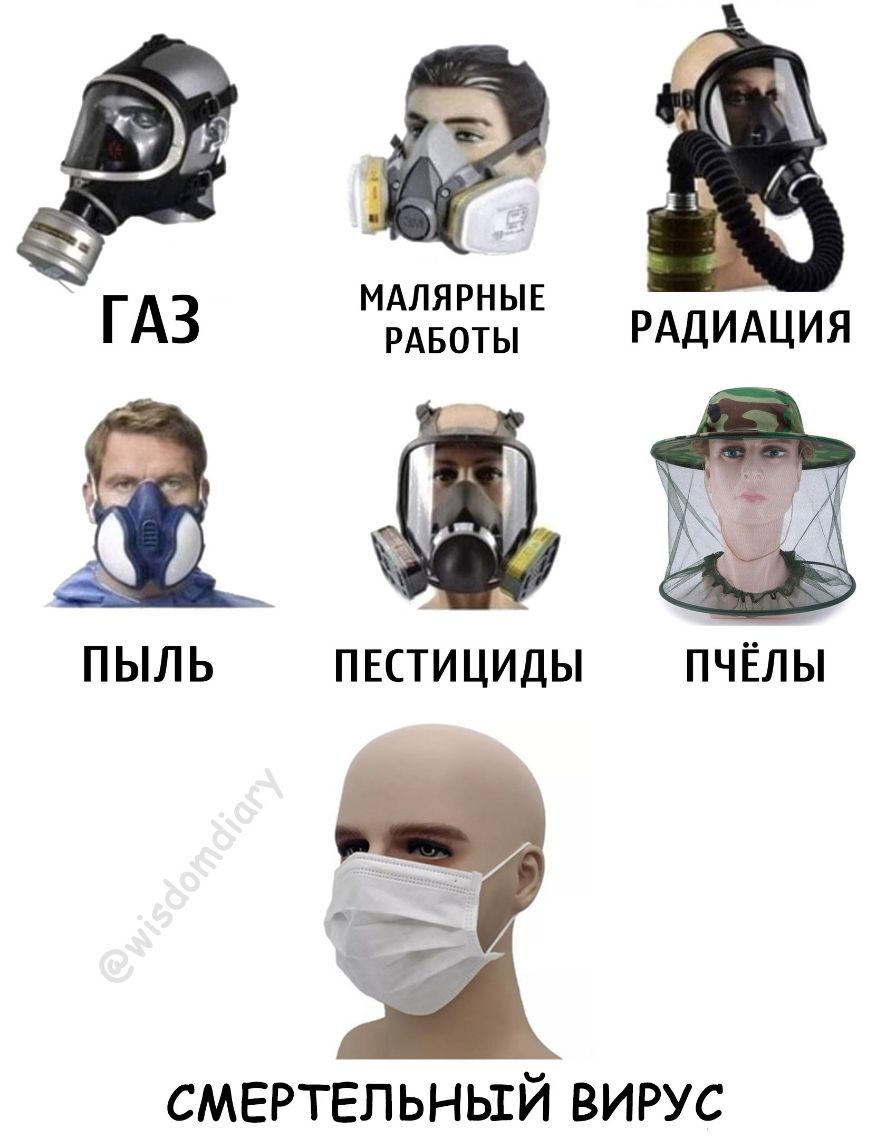 МАЛЯРНЫЕ РАБОТЫ ПЫЛЬ ПЕСТИЦИДЫ ПЧЁЛЫ СМЕРТЕЛЬНЫЙ вирус