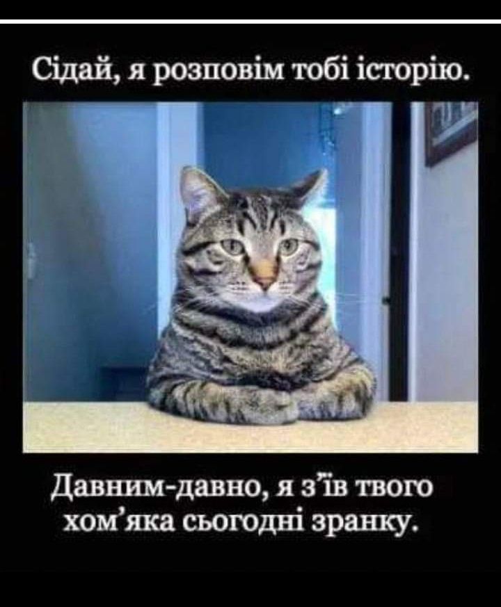 Сщаи сто ію Р і 1 тоб ім В о 11 роз Я у Дышим дави зш твою анку Р 3 о я дш _ сього на м 0 х