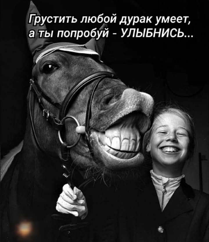В Г рустить любой дурак умеет аіты попробуй УЛЫБНИСЬ