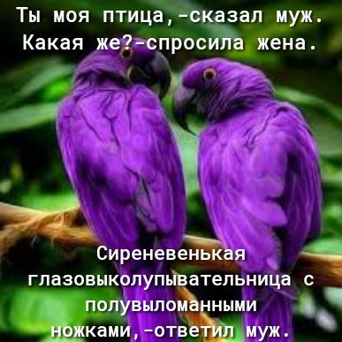 Ты моя птиц ЦМЁал и Какая же спрос ж бі Сиреневенькая гпазовыкопупьівательница с выпить ными камиотвё муж