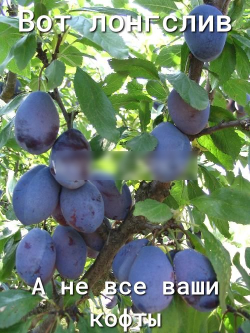 ивЁ Ё 31 И дона 7 _ Эдди _ 3 У _ _ С Ч не все ва ы