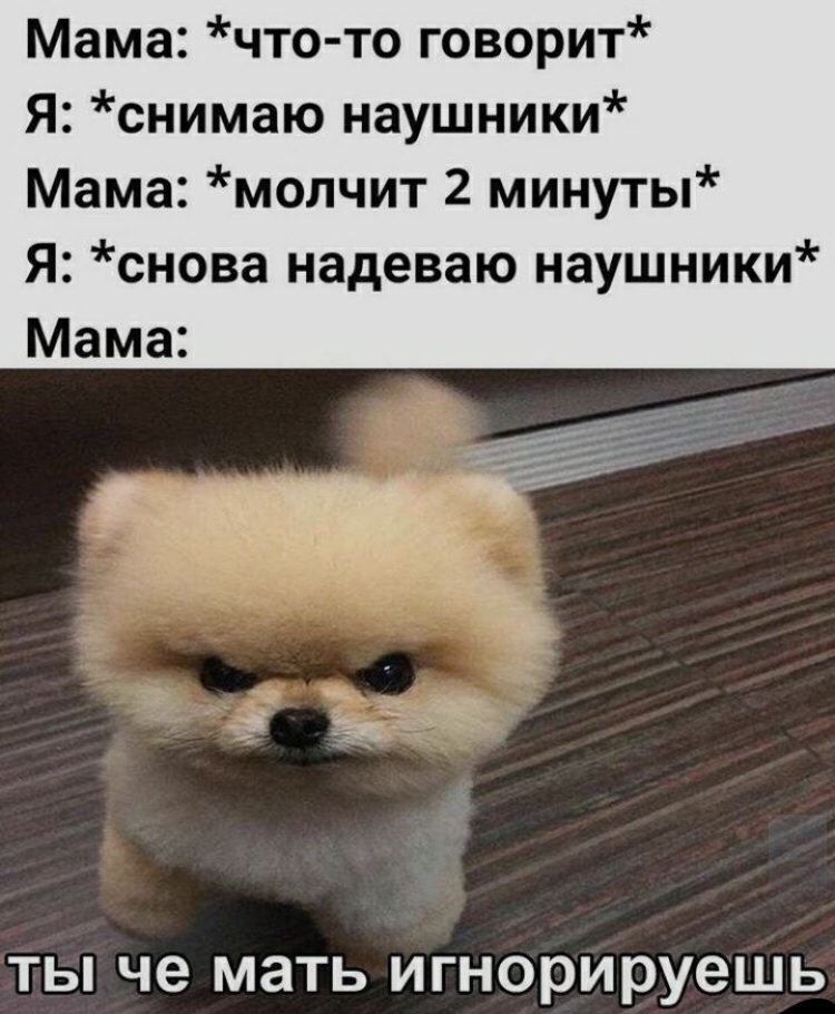 Мама что то говорит Я снимаю наушники Мама молчит 2 минуты Я снова надеваю наушники Мама ТЫ че мать ИГНОРИРУЭШЬ