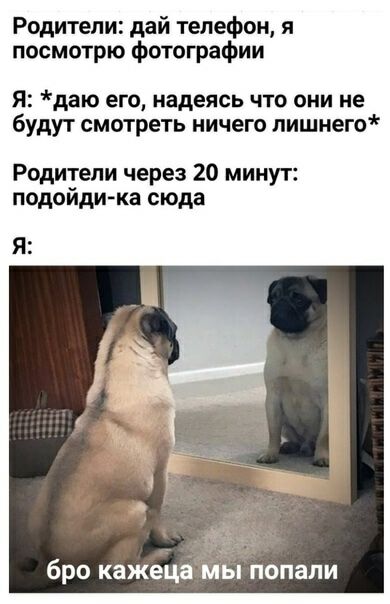 Родители дай телефон я посмотрю фотографии Я даю его надеясь что они не будут смотреть ничего лишнего Родители через 20 минут подойдика сюда Я бро кажецаийыаиопапи