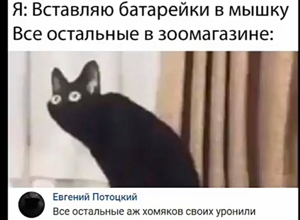 ЧН Евгений Потоцкий Все остальные аж хомяков своих уронили Я Вставляю батарейки в мышку Все остальные в зоомагазине