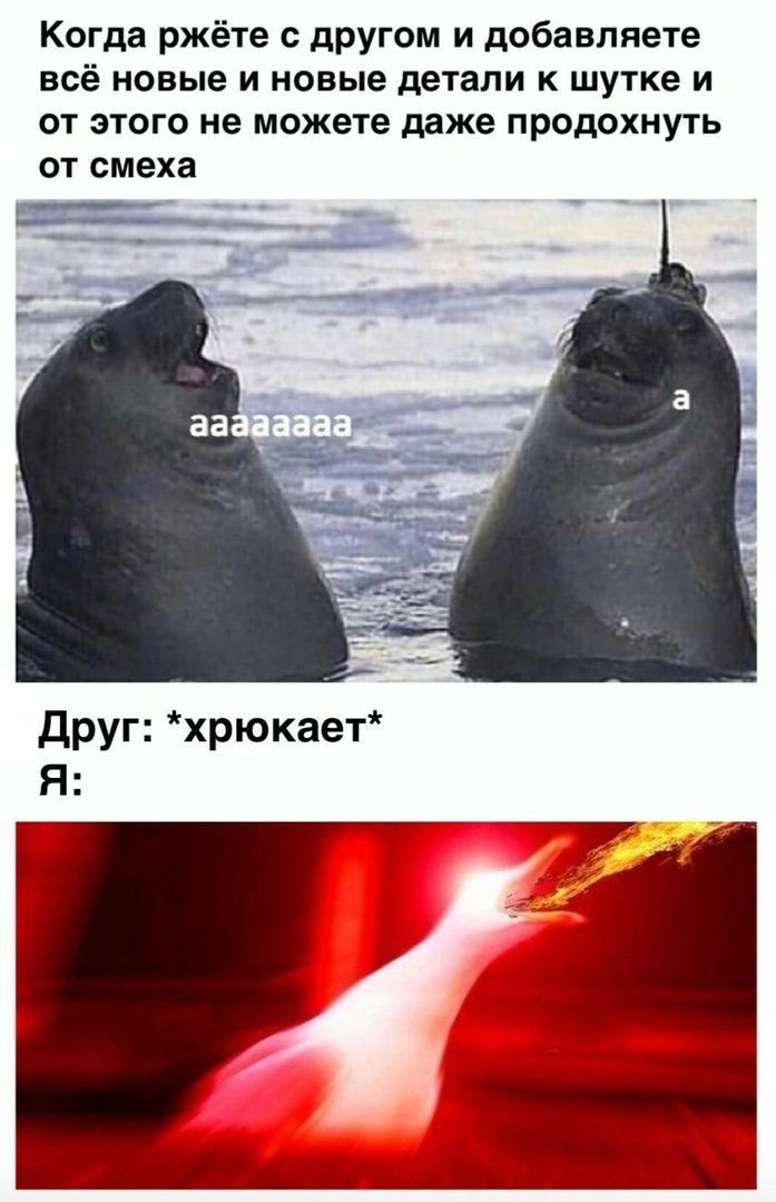 Когда ржёте с другом и добавляете всё новые и новые детали к шутке и от этого не можете даже продохнуть от смеха ___ _ друг хрюкает Я
