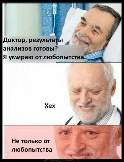 анализов готовы Я умираю от любопытсгв Не только от любопытства