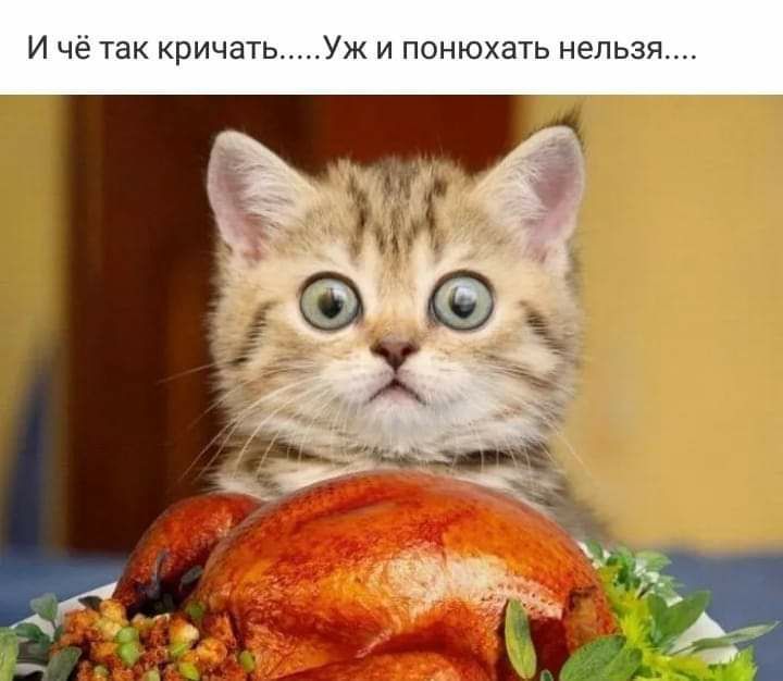 И Чё так кричать УЖ И ПОНЮХЗТЬ НЕЛЬЗЯ