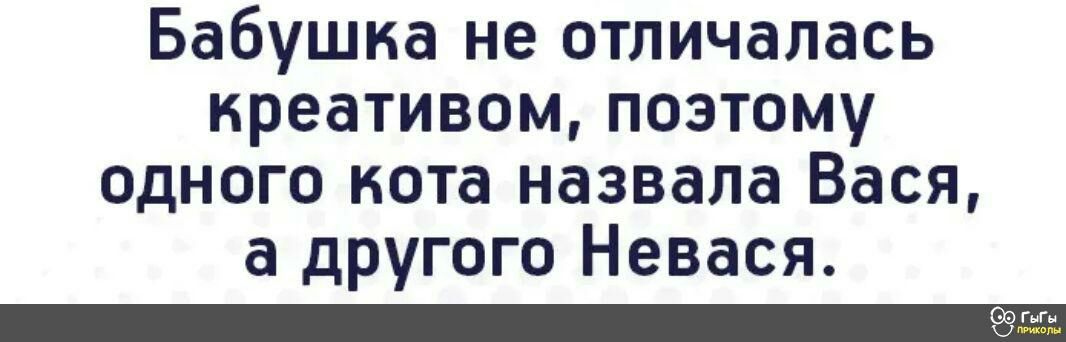 Бабушка не отличалась креативом поэтому одного кота назвала Вася а другого Невася