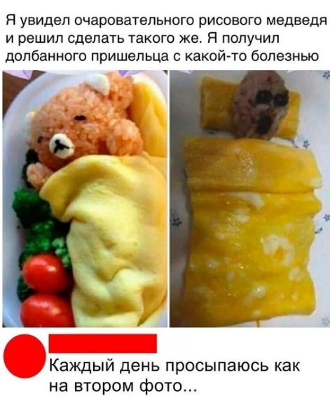 Я увидел очаровательного рисового медведя И решил сделать ТаКОГО же Я ПОЛУЧИЛ долбанного пришельца с какой то болезнью _ 7 Каждый день просыпаюсь как на втором фото