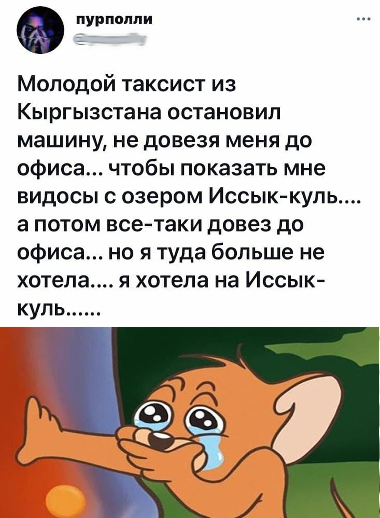 пурполли Молодой таксист из Кыргызстана остановил машину не довезя меня до офиса чтобы показать мне видосы с озером Иссык куль а потом все таки довез до офиса но я туда больше не хотела я хотела на Иссык